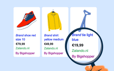 How to connect your Shopping Ads to Bigshopper CSS